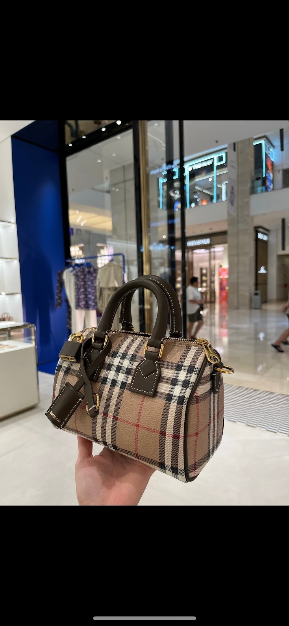 Dragons Bags Burberryn Luxury Bag --92040