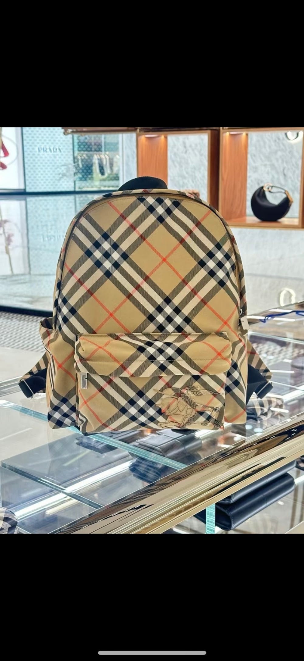 Dragons Bags Burberryn Luxury Bag --93136