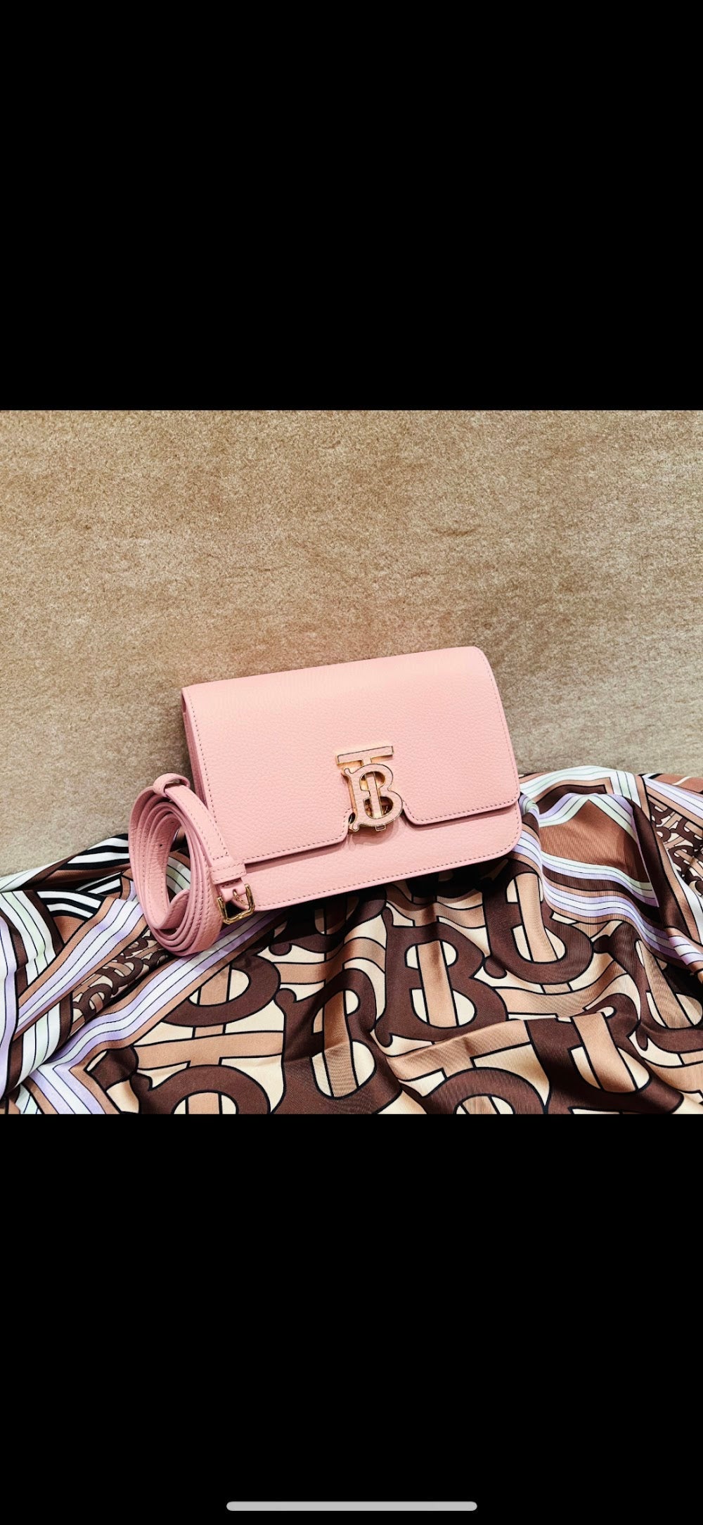 Dragons Bags Burberryn Luxury Bag --91648