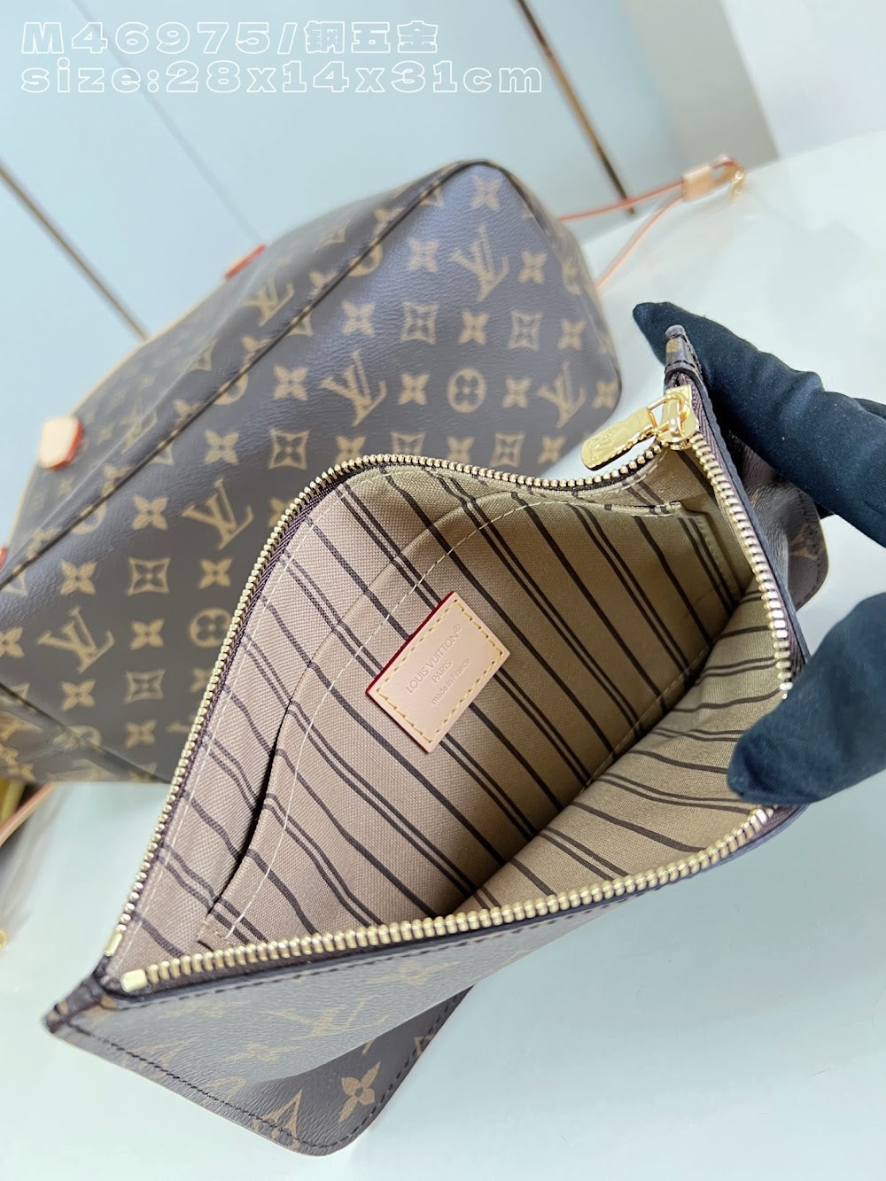Dragons Bags ln Luxury Bag --96488