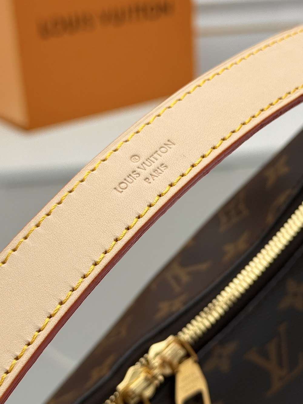 Dragons Bags ln Luxury Bag --81811