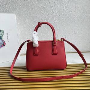 Dragons Bags Pradn Luxury Bag --101728