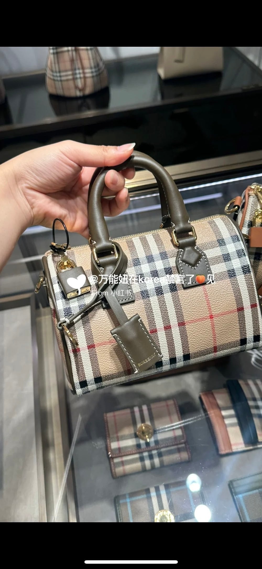 Dragons Bags Burberryn Luxury Bag --92039