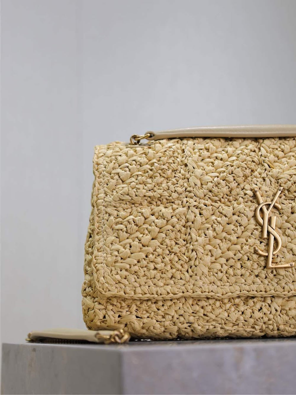 Dragons Bags YSLn Luxury Bag --120242