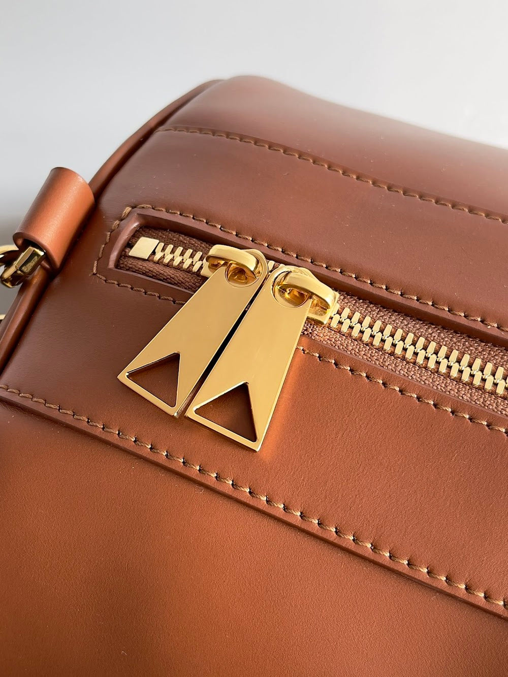 Dragons Bags Bottegan Luxury Bag --90489