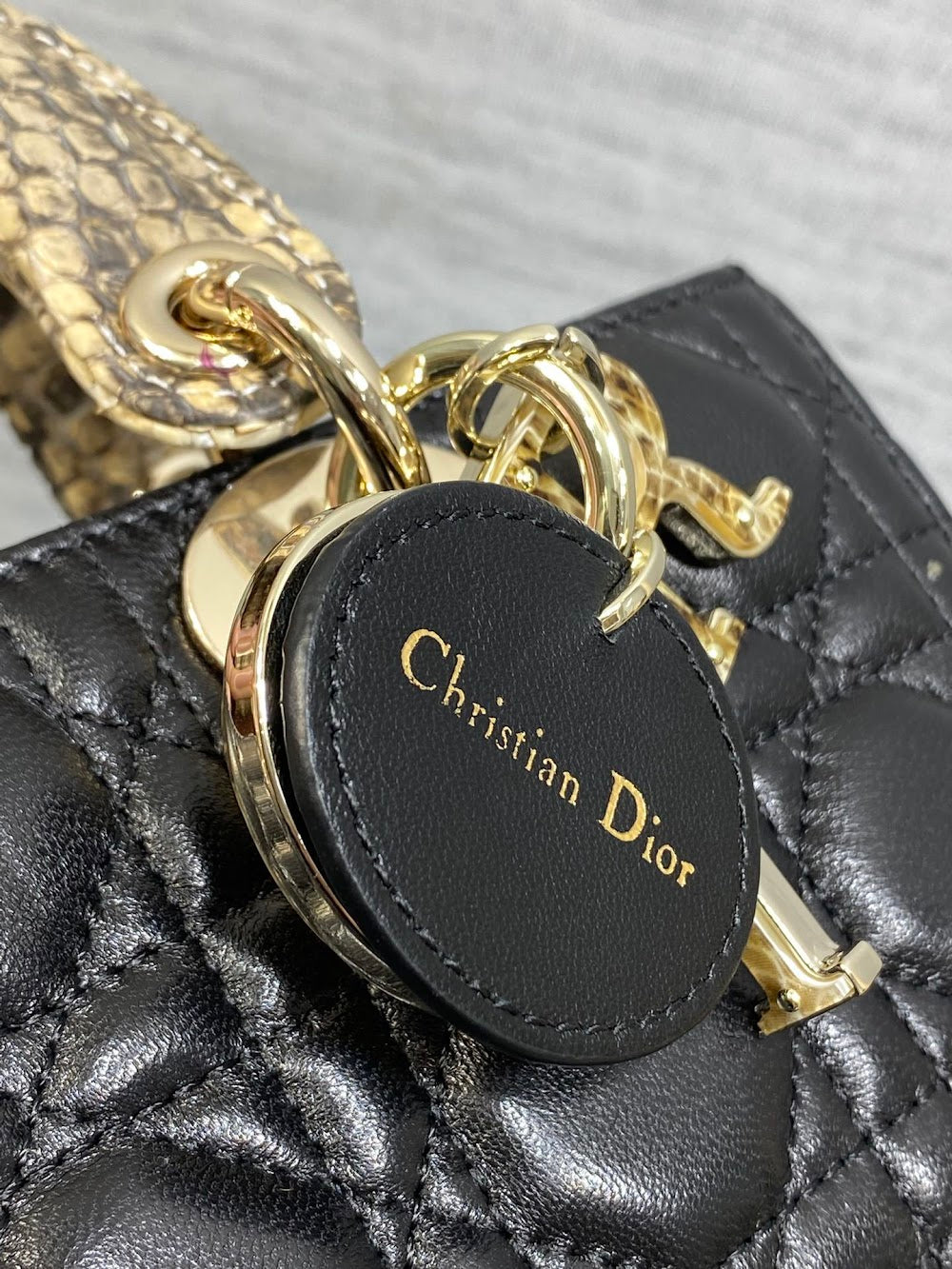 Dragons BagsDiorn Luxury Bag --115233