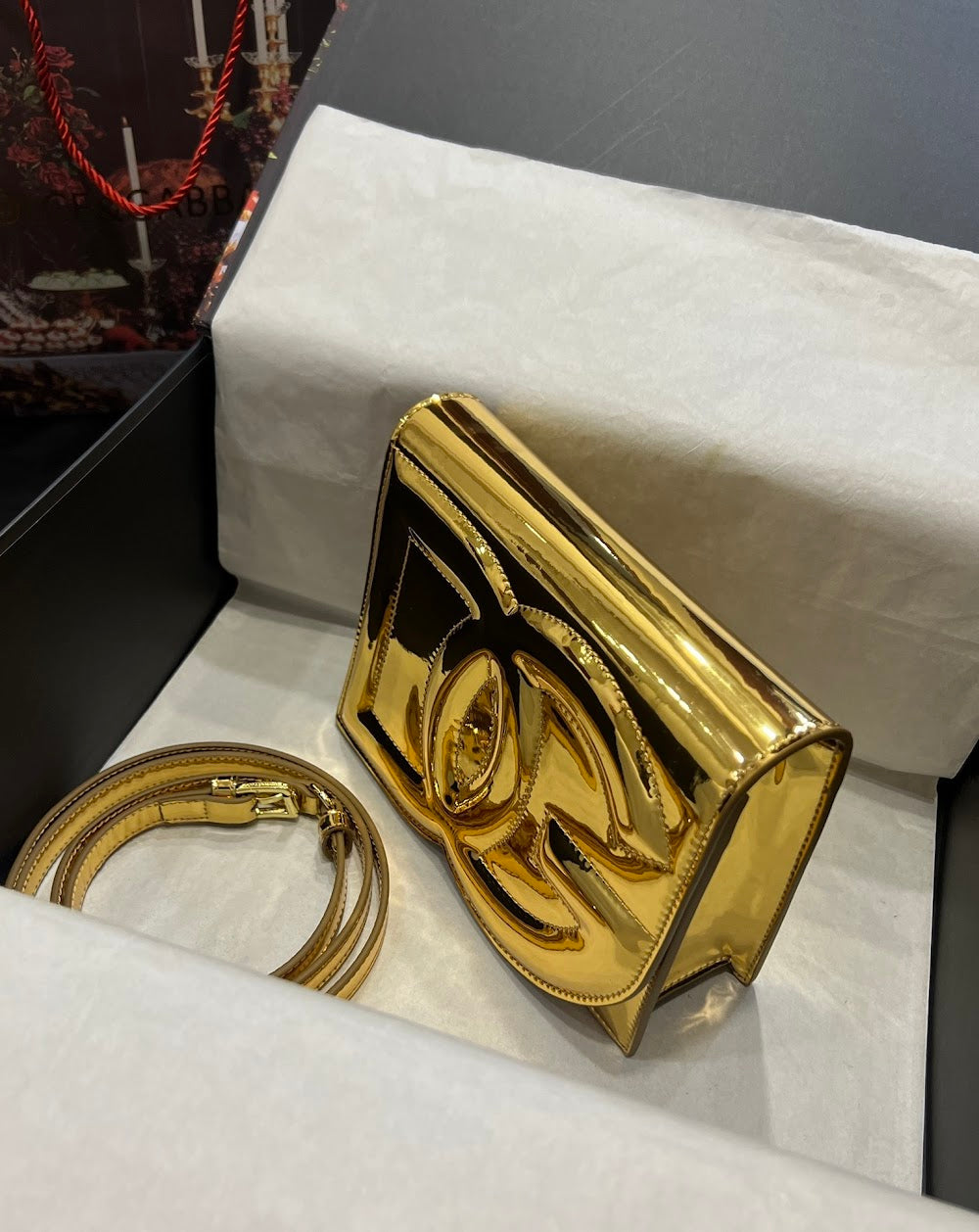Dragons Bags DGn Luxury Bag --93820