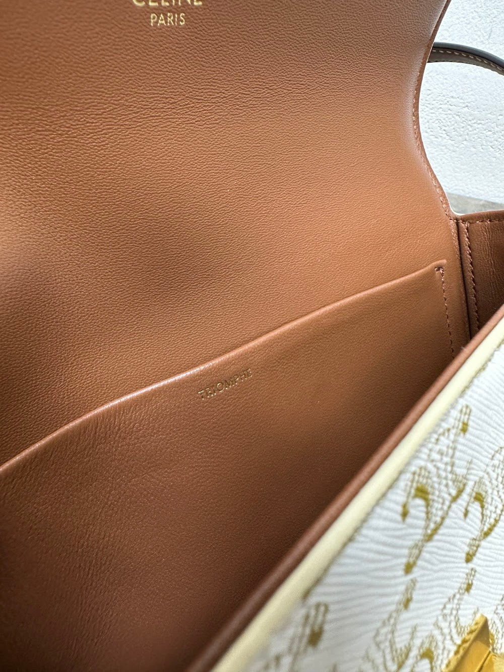 Dragons Bags Celine Luxury Bag --112429
