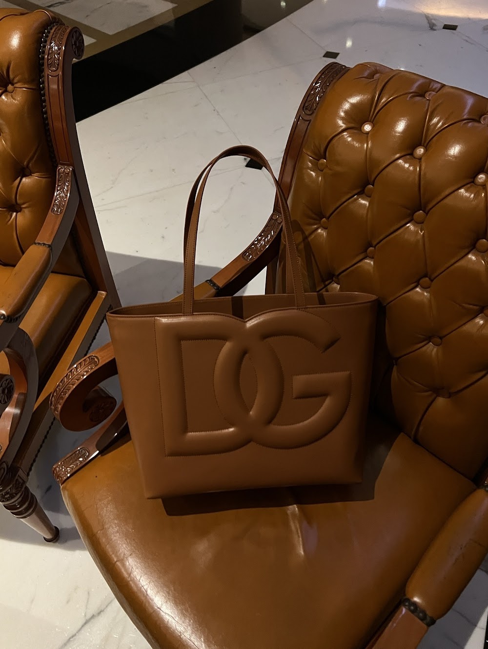 Dragons Bags DGn Luxury Bag --93854