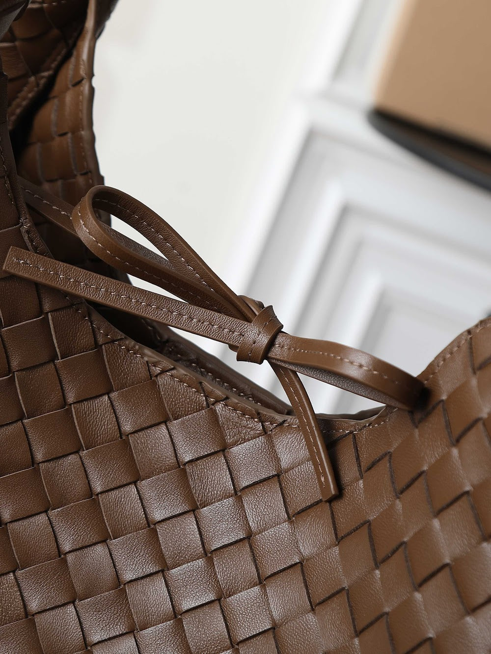 Dragons Bags Bottegan Luxury Bag --91371