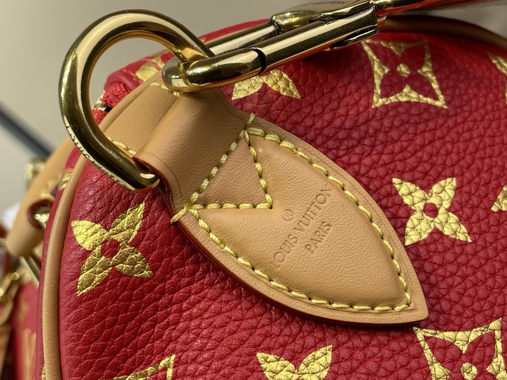 Dragons Bags ln Luxury Bag --96034