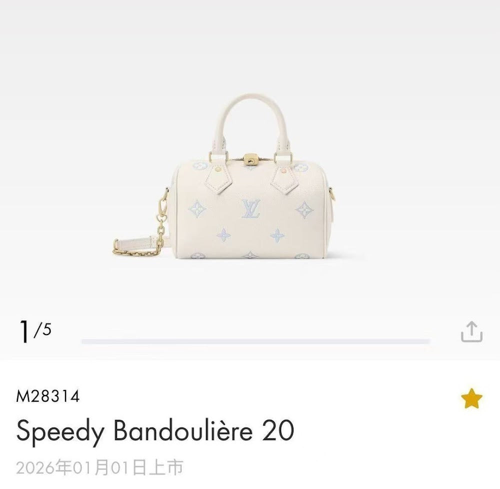 Dragons Bags ln Luxury Bag --95874