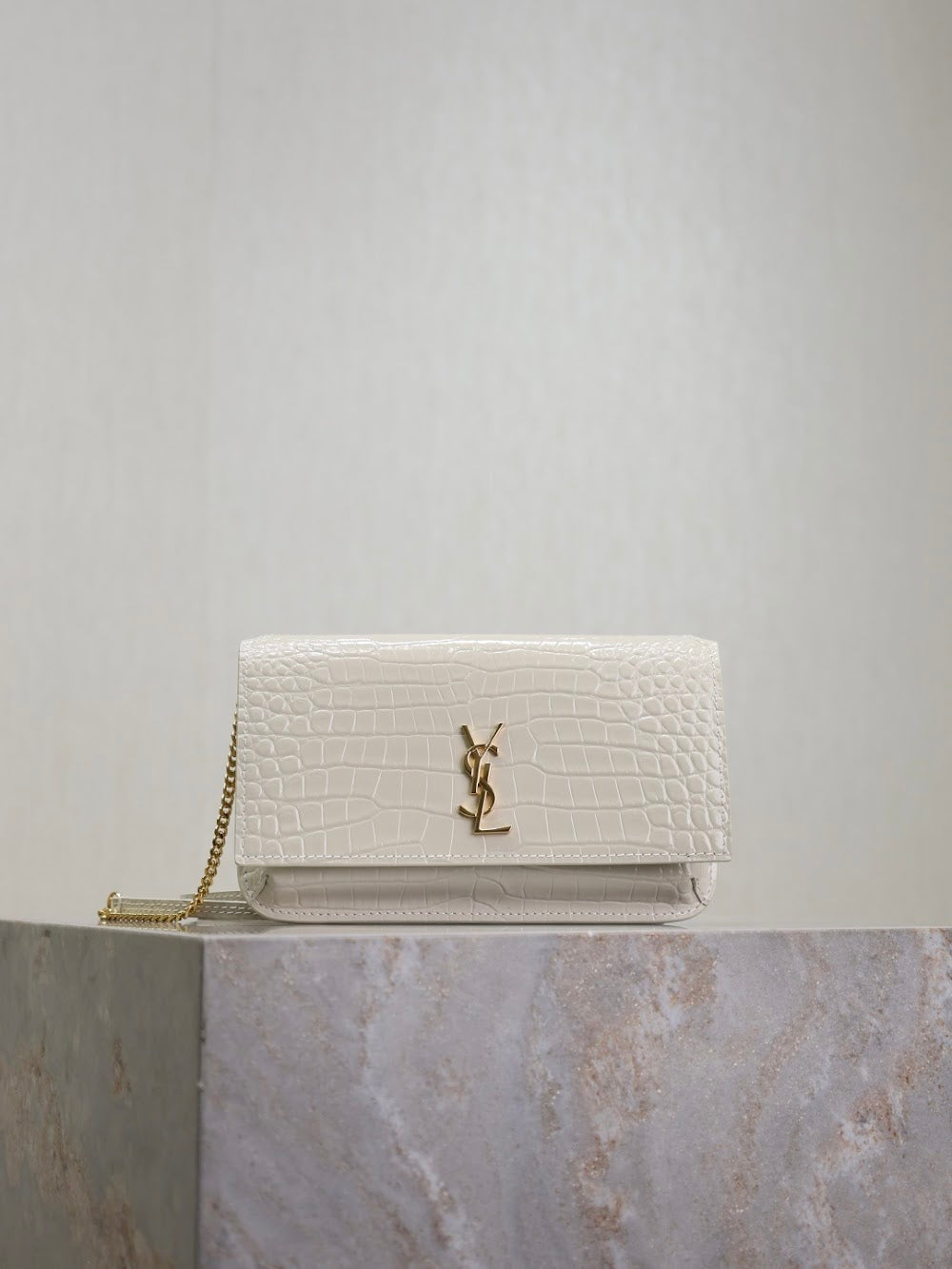 Dragons Bags YSLn Luxury Bag --120475