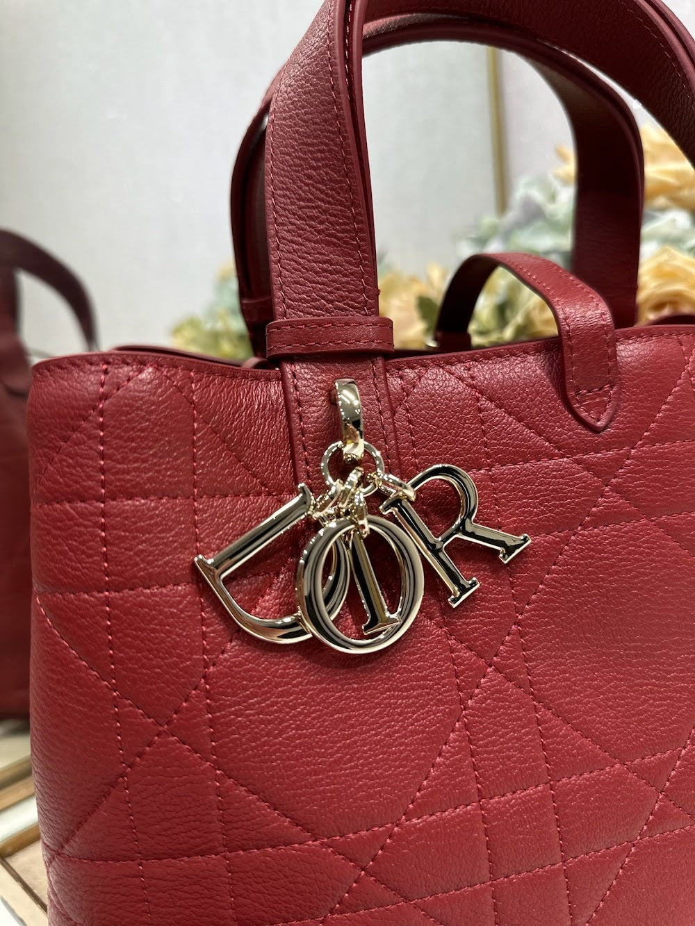 Dragons BagsDiorn Luxury Bag --116131