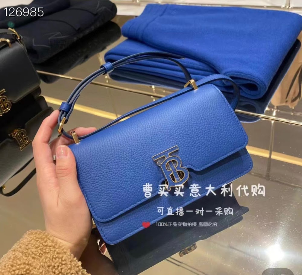 Dragons Bags Burberryn Luxury Bag --91603