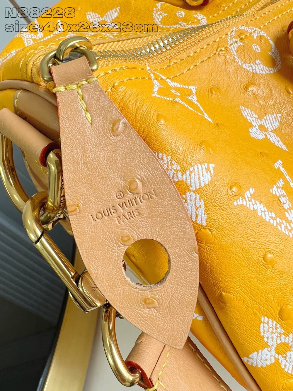 Dragons Bags ln Luxury Bag --97507