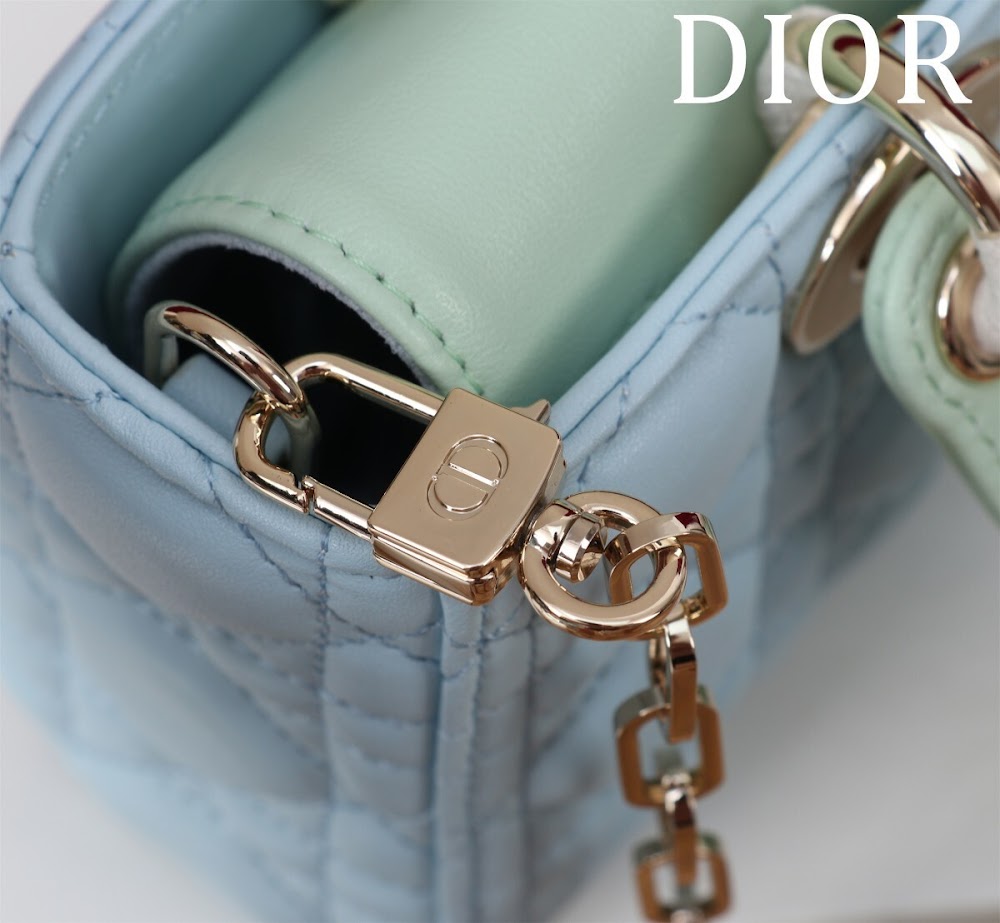 Dragons BagsDiorn Luxury Bag --114844