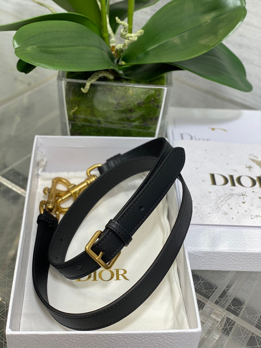 Dragons BagsDiorn Luxury Bag --114993