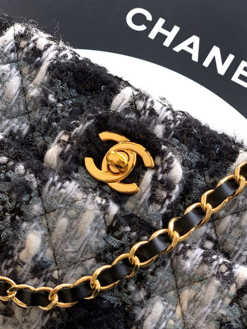 Dragons Bags CHn Luxury Bag --113004