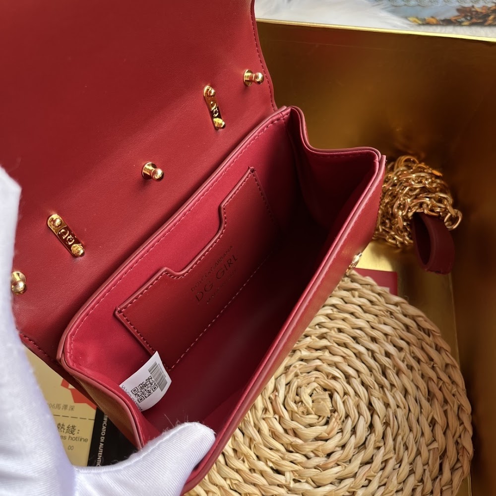 Dragons Bags DGn Luxury Bag --93786