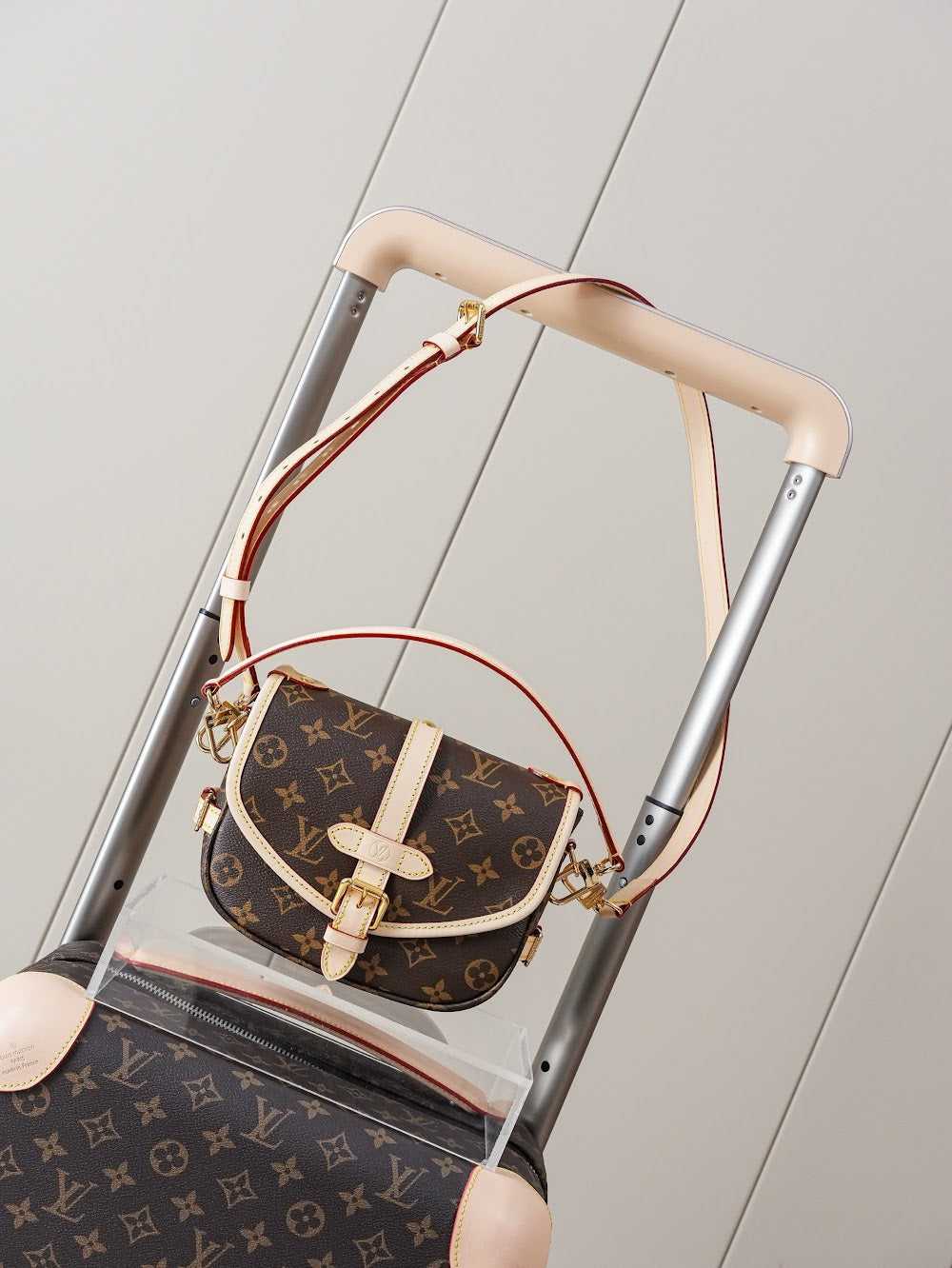 Dragons Bags LVn Luxury Bag --80118