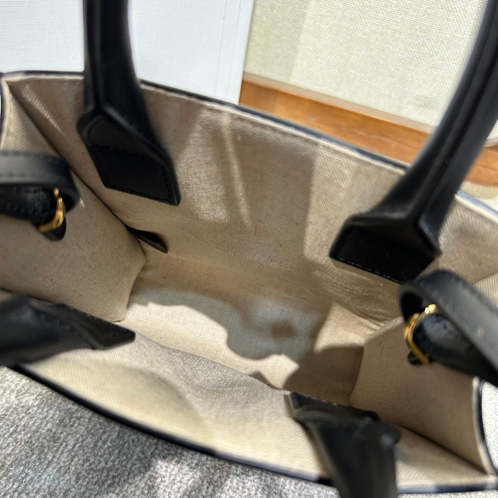 Dragons Bags Celine Luxury Bag --112510