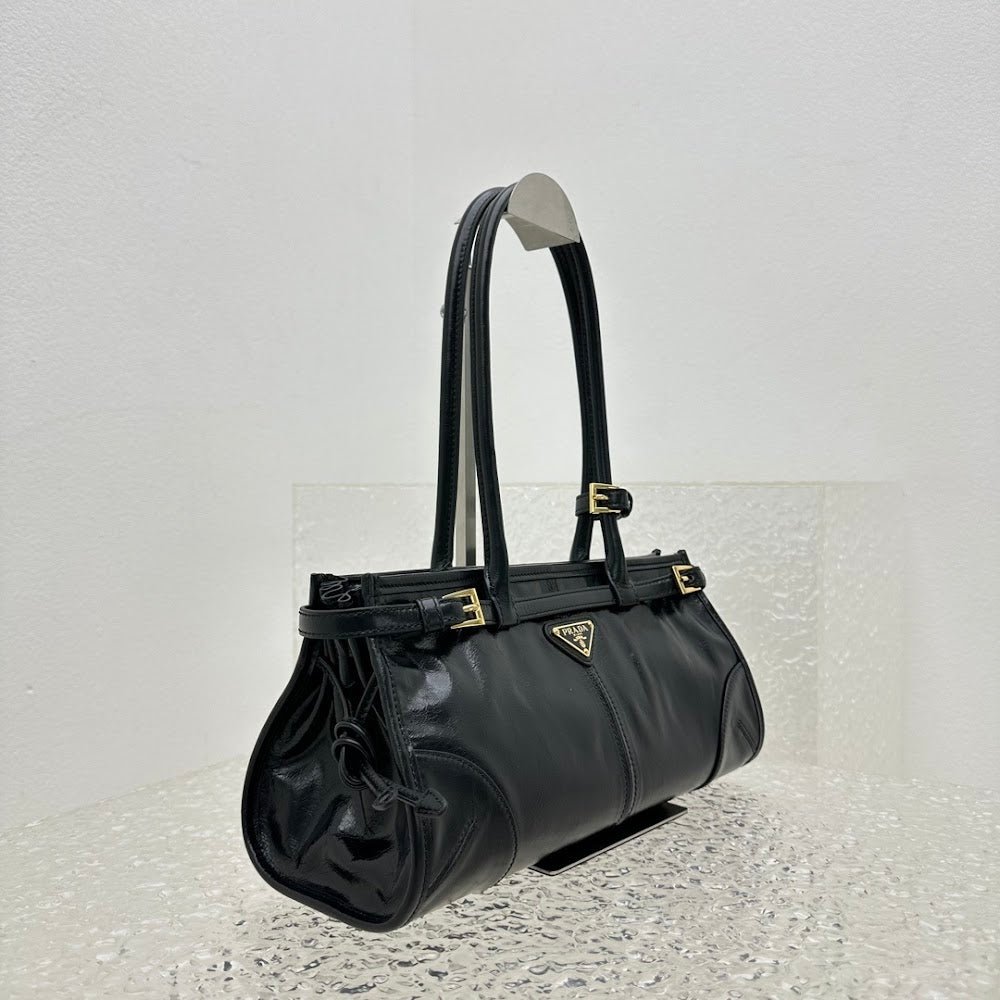 Dragons Bags Pradn Luxury Bag --102001