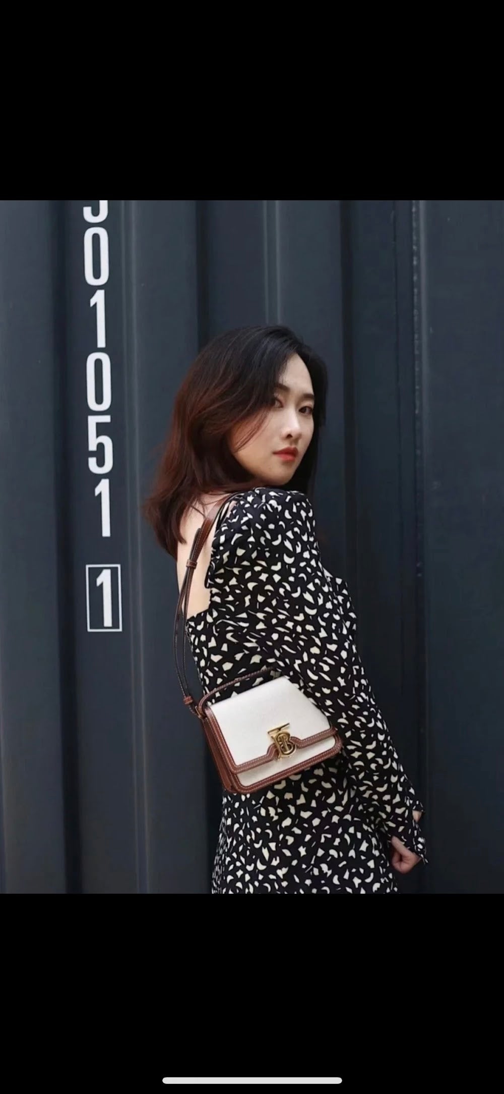 Dragons Bags Burberryn Luxury Bag --91619