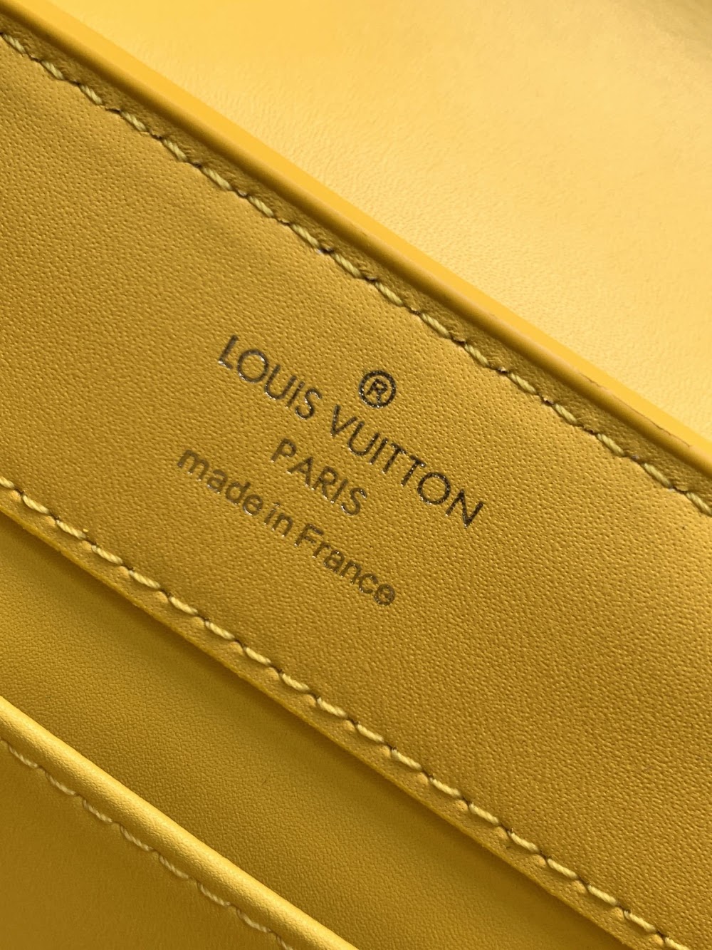 Dragons Bags ln Luxury Bag --96931