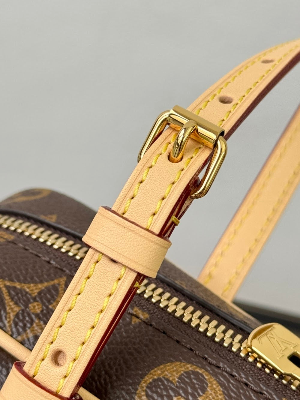 Dragons Bags ln Luxury Bag --96761