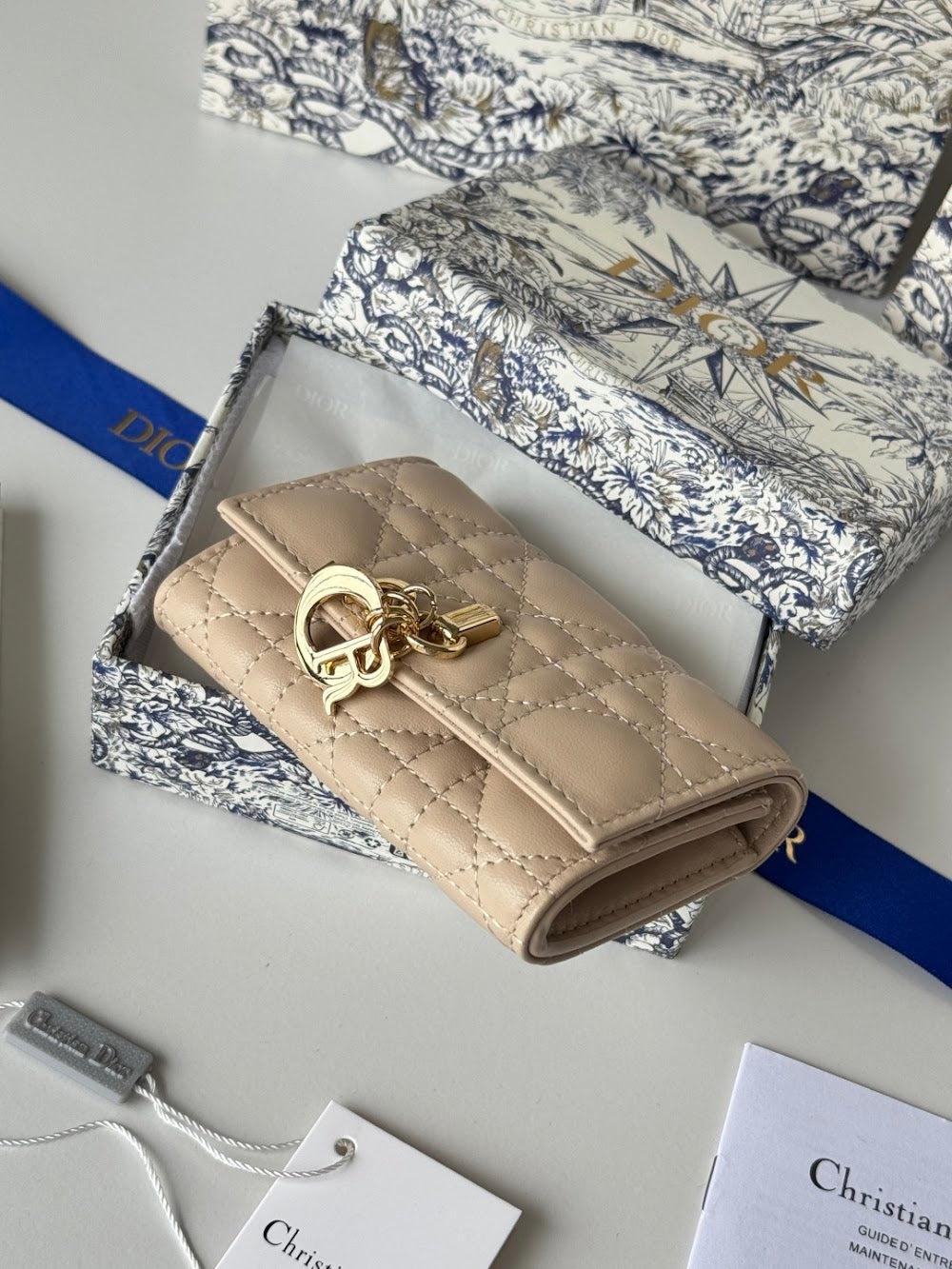 Dragons BagsDiorn Luxury Bag --114485