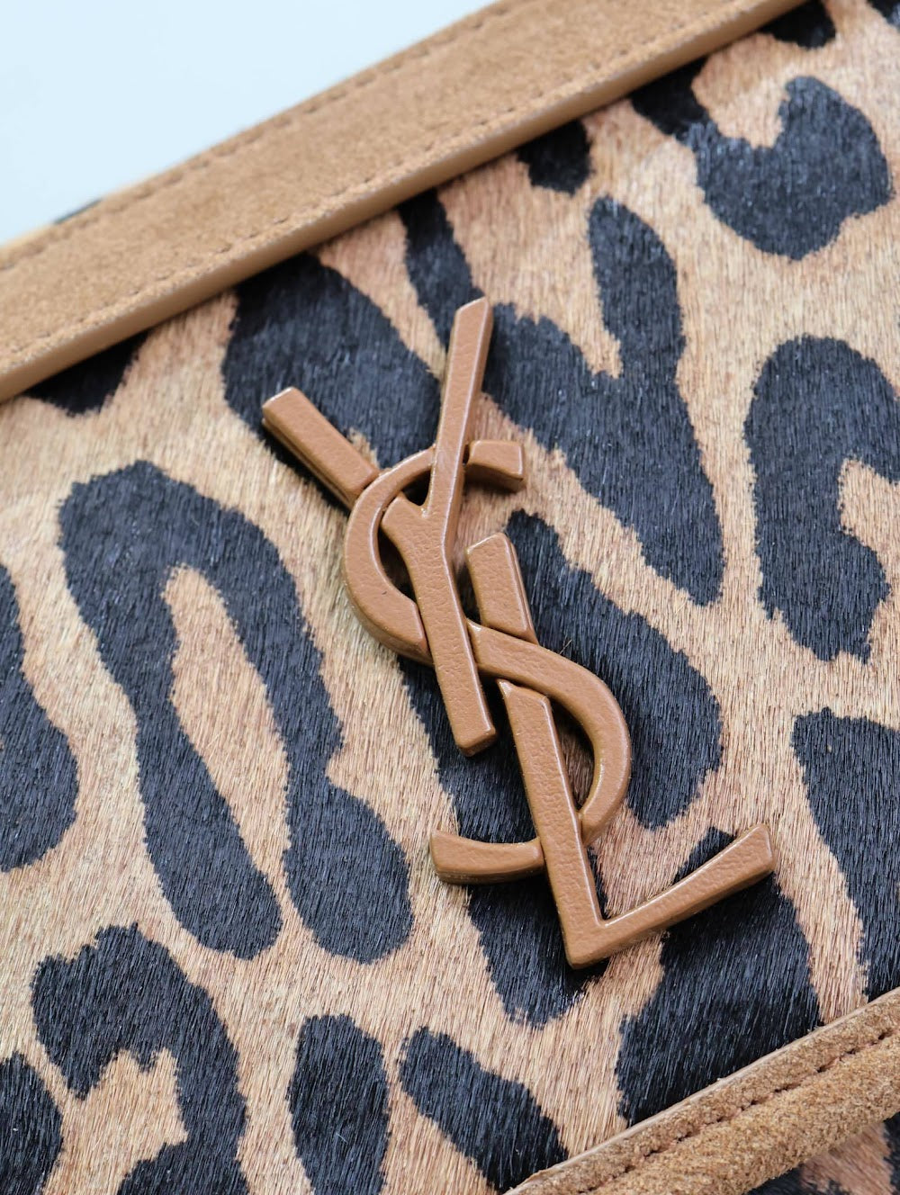 Dragons Bags YSLn Luxury Bag --119650