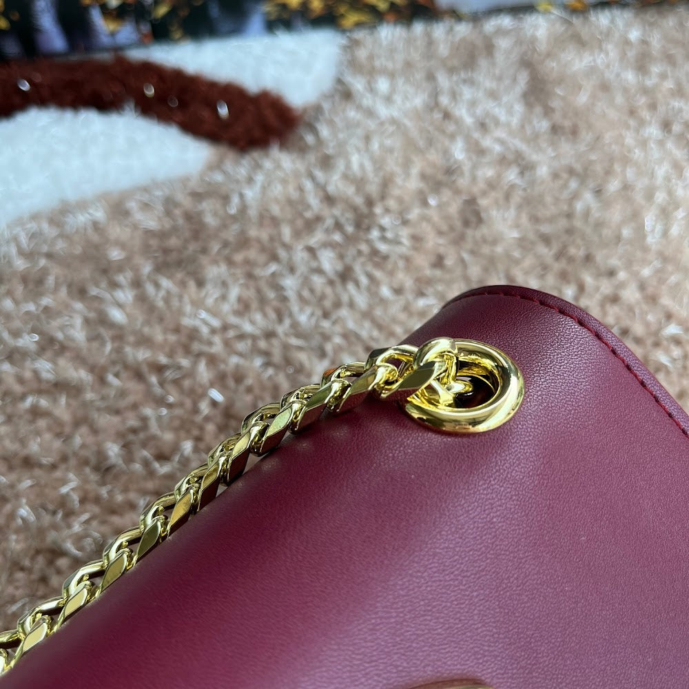 Dragons Bags DGn Luxury Bag --93419