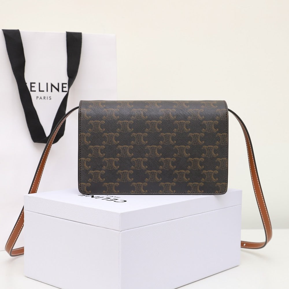 Dragons Bags Celine Luxury Bag --112055