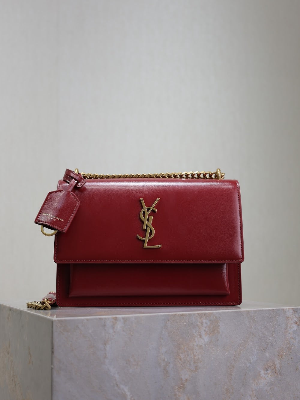 Dragons Bags YSLn Luxury Bag --119525