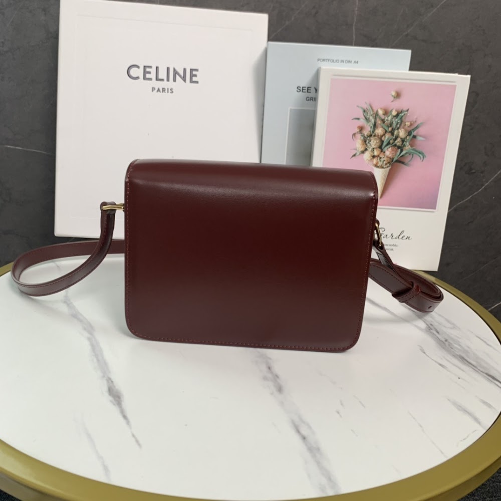 Dragons Bags Celine Luxury Bag --111994