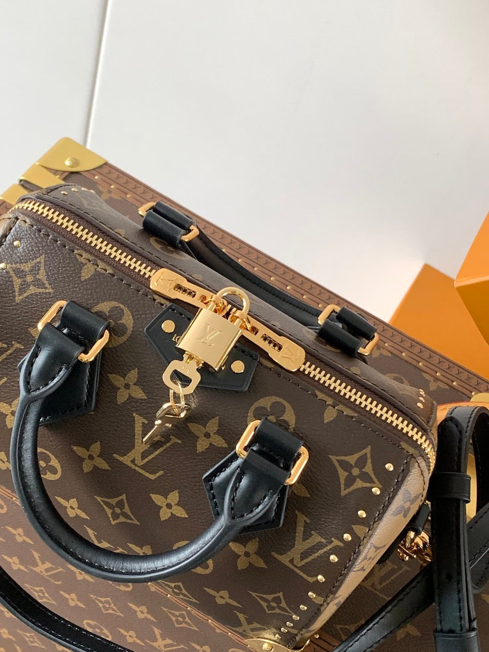 Dragons Bags LVn Luxury Bag --79096