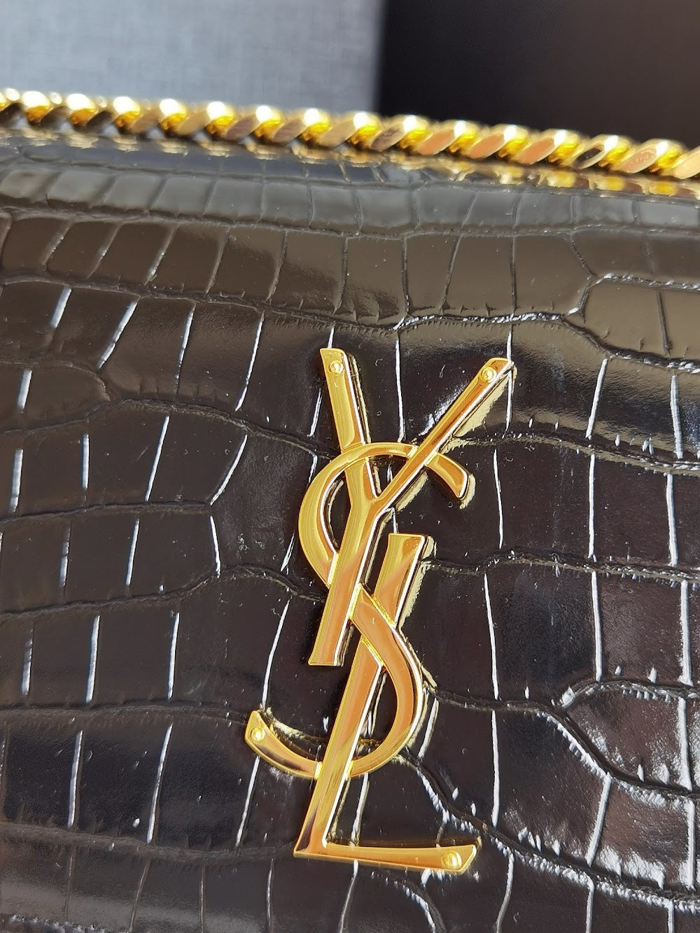 Dragons Bags YSLn Luxury Bag --119956
