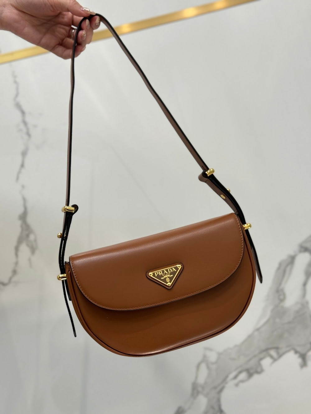 Dragons Bags Pradn Luxury Bag --102088