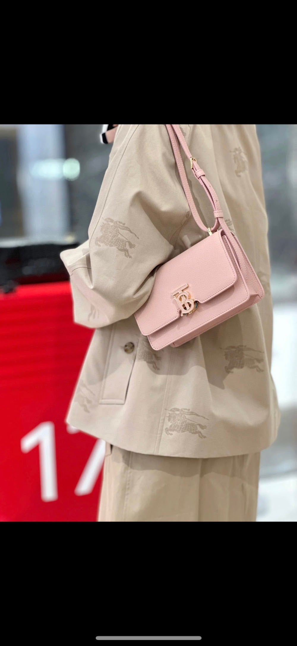 Dragons Bags Burberryn Luxury Bag --91608