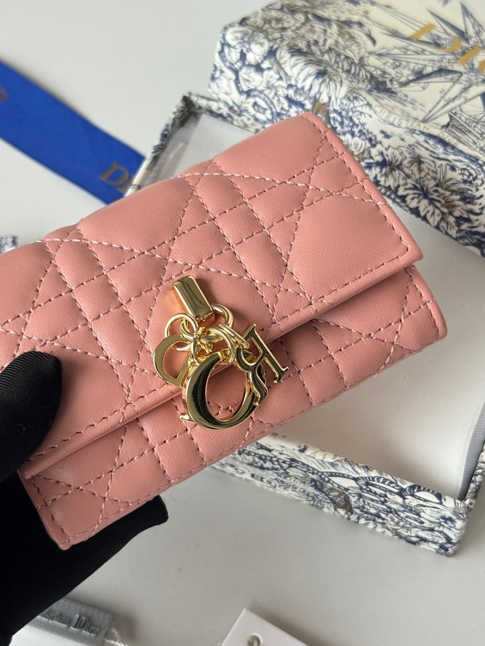 Dragons BagsDiorn Luxury Bag --114487