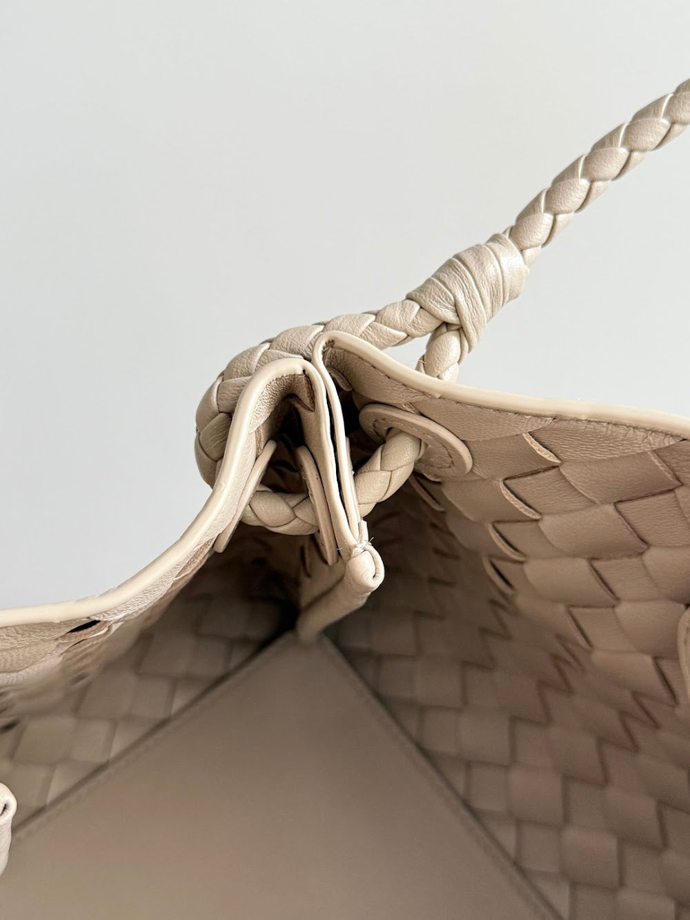 Dragons Bags Bottegan Luxury Bag --91382