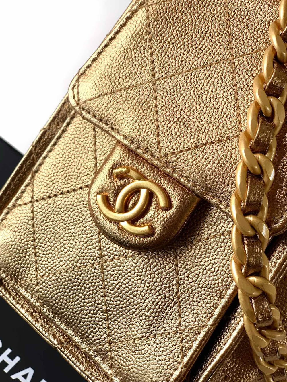 Dragons Bags CHn Luxury Bag --112891