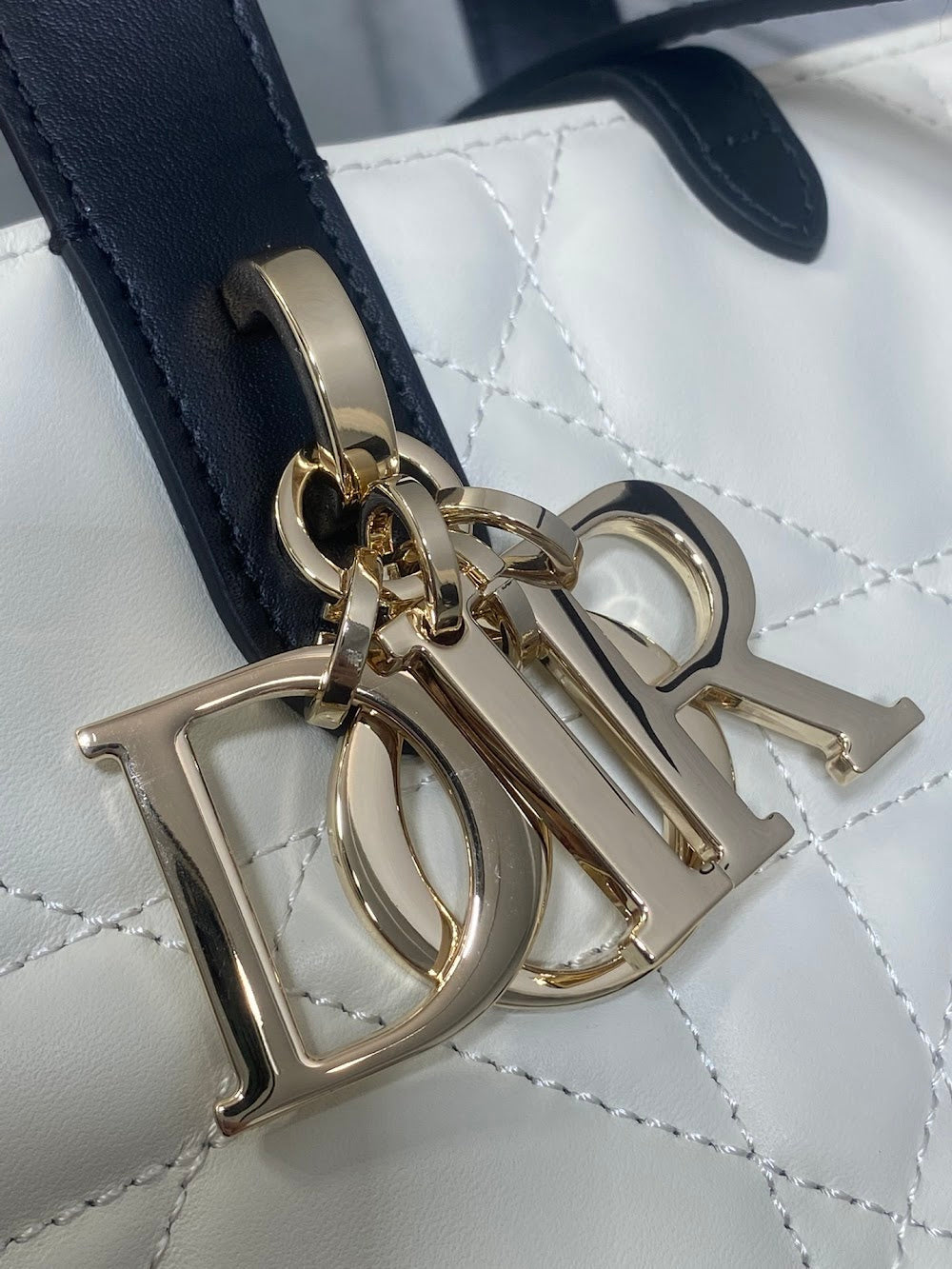 Dragons BagsDiorn Luxury Bag --115657