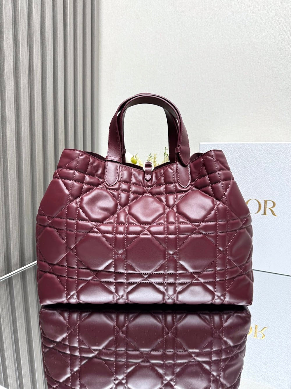 Dragons BagsDiorn Luxury Bag --116430