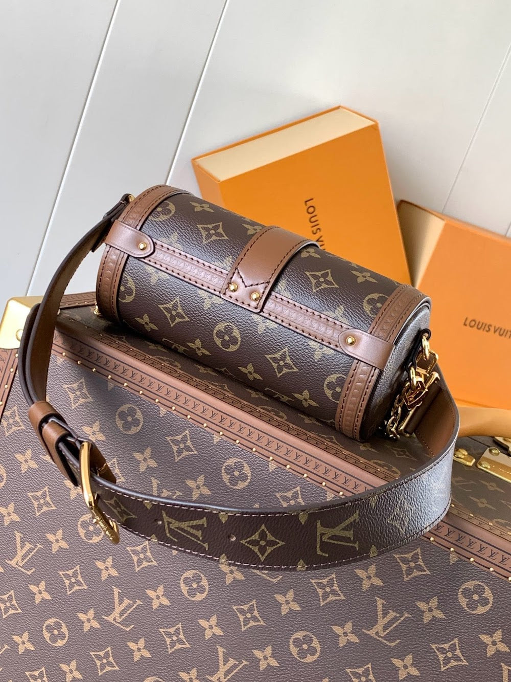 Dragons Bags LVn Luxury Bag --79639