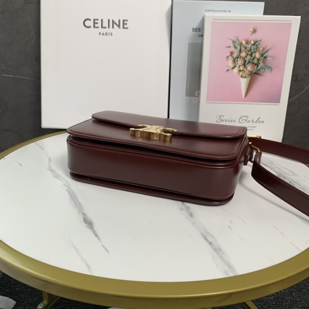Dragons Bags Celine Luxury Bag --111993