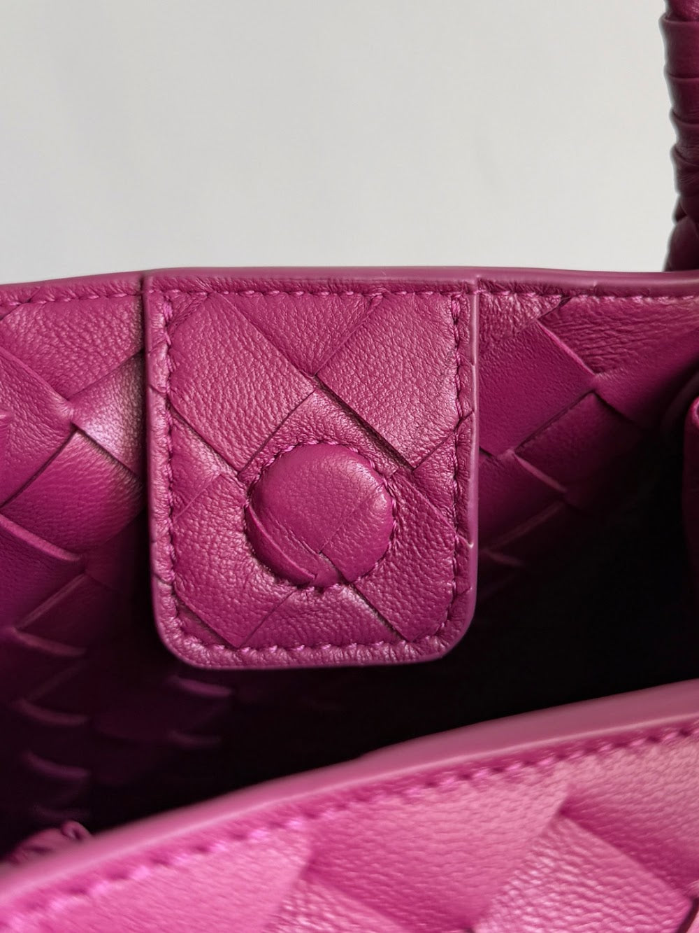 Dragons Bags Bottegan Luxury Bag --91112