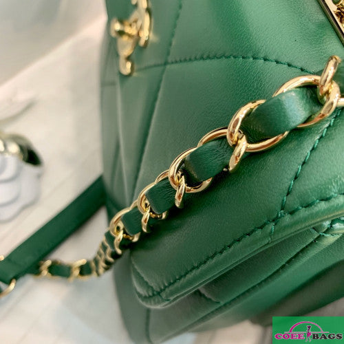 Dragons Bags Detail