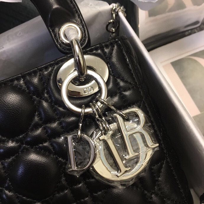 Dragons Bags Detail